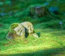 Microprogramme de 2e cycle en études asiatiques